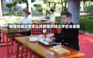 新疆财经大学怎么样新疆财经大学的全面解析