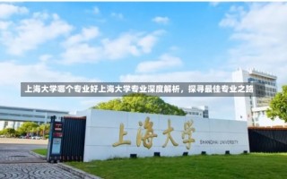 上海大学哪个专业好上海大学专业深度解析，探寻最佳专业之路