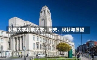 利兹大学利兹大学，历史、现状与展望