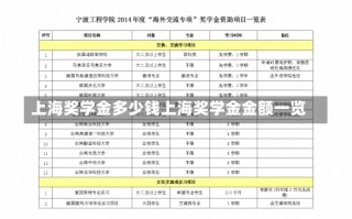 上海奖学金多少钱上海奖学金金额一览