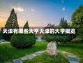 天津有哪些大学天津的大学概览