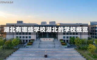 湖北有哪些学校湖北的学校概览