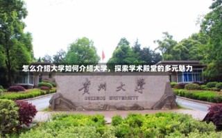 怎么介绍大学如何介绍大学，探索学术殿堂的多元魅力