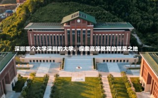 深圳哪个大学深圳的大学，探索高等教育的繁荣之地