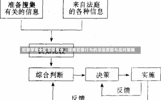 犯罪学专业犯罪学专业，探索犯罪行为的深层原因与应对策略