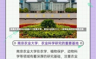 东南大学是985还是211东南大学，是985还是211？一所顶尖高校的探索之旅