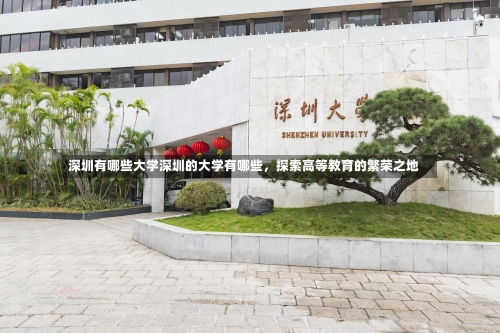 深圳有哪些大学深圳的大学有哪些，探索高等教育的繁荣之地-第2张图片-记录生活每一天