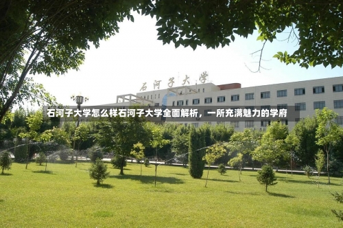 石河子大学怎么样石河子大学全面解析，一所充满魅力的学府-第1张图片-记录生活每一天