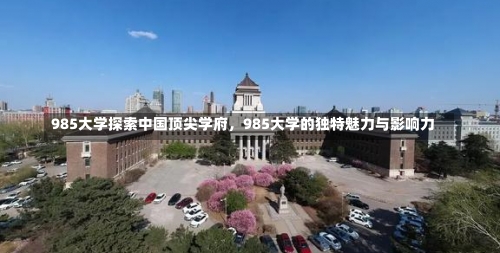 985大学探索中国顶尖学府，985大学的独特魅力与影响力-第1张图片-记录生活每一天