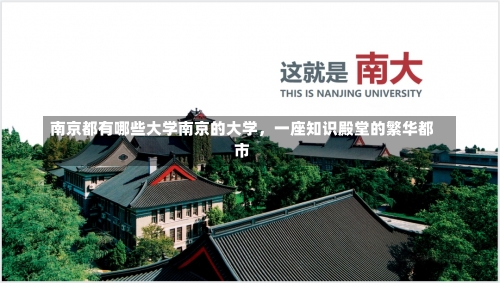 南京都有哪些大学南京的大学，一座知识殿堂的繁华都市-第1张图片-记录生活每一天