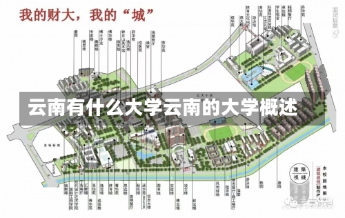 云南有什么大学云南的大学概述-第2张图片-记录生活每一天