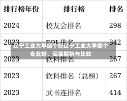 辽宁工业大学哪个好辽宁工业大学哪个专业好，深度解析与比较-第3张图片-记录生活每一天