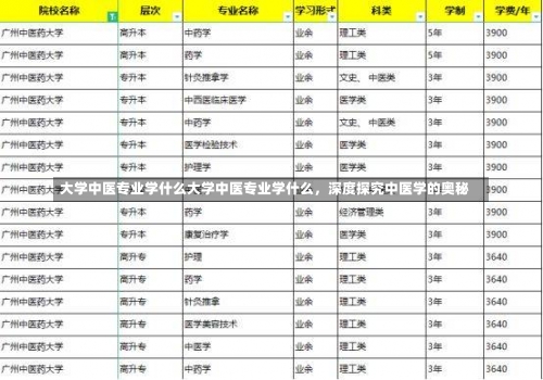 大学中医专业学什么大学中医专业学什么，深度探究中医学的奥秘-第2张图片-记录生活每一天