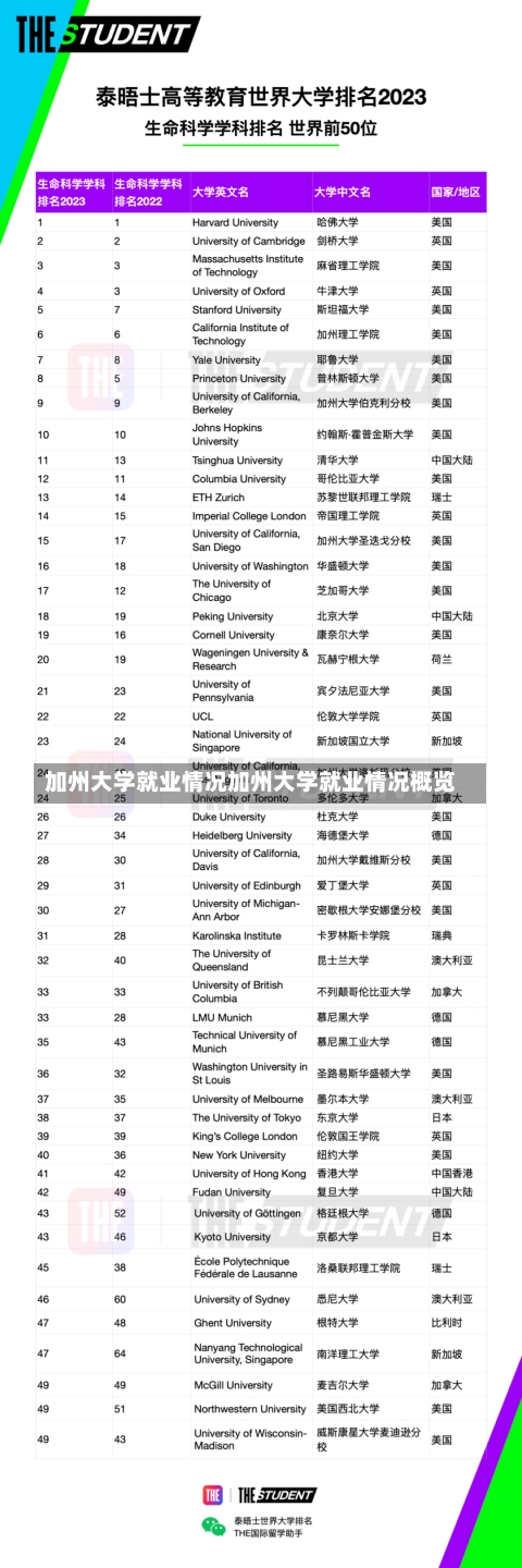 加州大学就业情况加州大学就业情况概览-第3张图片-记录生活每一天