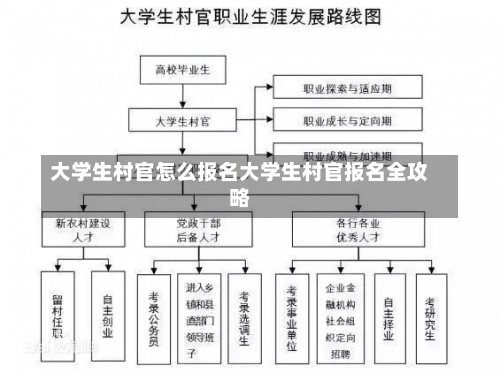 大学生村官怎么报名大学生村官报名全攻略-第1张图片-记录生活每一天