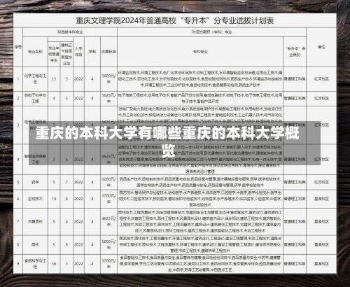 重庆的本科大学有哪些重庆的本科大学概览-第3张图片-记录生活每一天