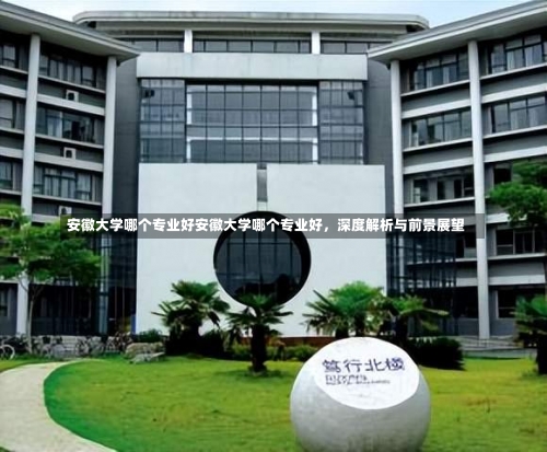 安徽大学哪个专业好安徽大学哪个专业好，深度解析与前景展望-第2张图片-记录生活每一天