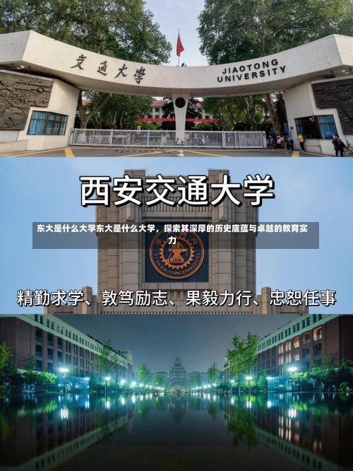 东大是什么大学东大是什么大学，探索其深厚的历史底蕴与卓越的教育实力-第1张图片-记录生活每一天