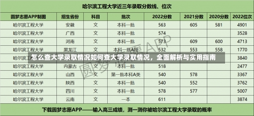 怎么查大学录取情况如何查大学录取情况，全面解析与实用指南-第2张图片-记录生活每一天