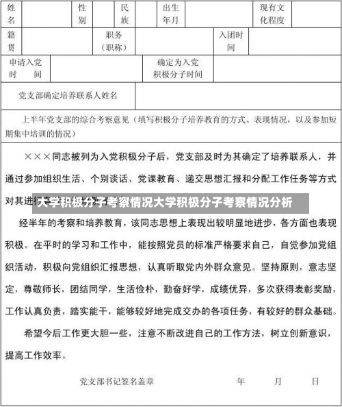 大学积极分子考察情况大学积极分子考察情况分析-第1张图片-记录生活每一天