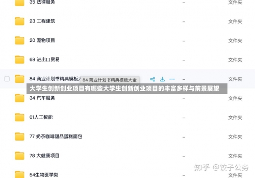 大学生创新创业项目有哪些大学生创新创业项目的丰富多样与前景展望-第3张图片-记录生活每一天
