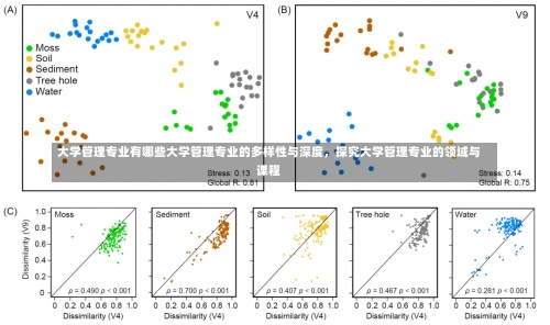 大学管理专业有哪些大学管理专业的多样性与深度，探究大学管理专业的领域与课程-第2张图片-记录生活每一天