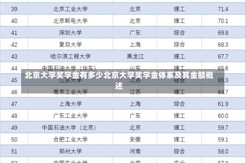 北京大学奖学金有多少北京大学奖学金体系及其金额概述-第3张图片-记录生活每一天