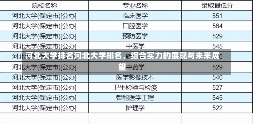 河北大学排名河北大学排名，综合实力的展现与未来展望-第1张图片-记录生活每一天