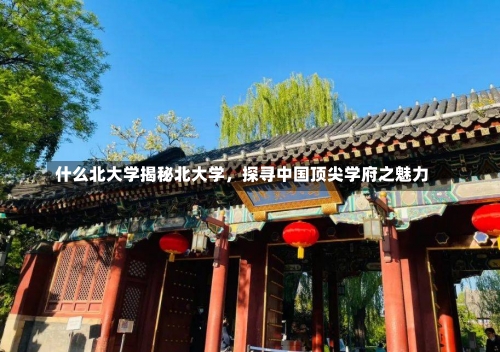 什么北大学揭秘北大学，探寻中国顶尖学府之魅力-第2张图片-记录生活每一天