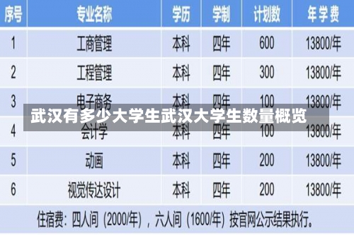 武汉有多少大学生武汉大学生数量概览-第3张图片-记录生活每一天