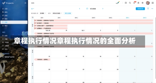 章程执行情况章程执行情况的全面分析-第1张图片-记录生活每一天