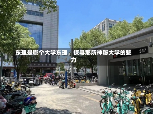 东理是哪个大学东理，探寻那所神秘大学的魅力-第1张图片-记录生活每一天