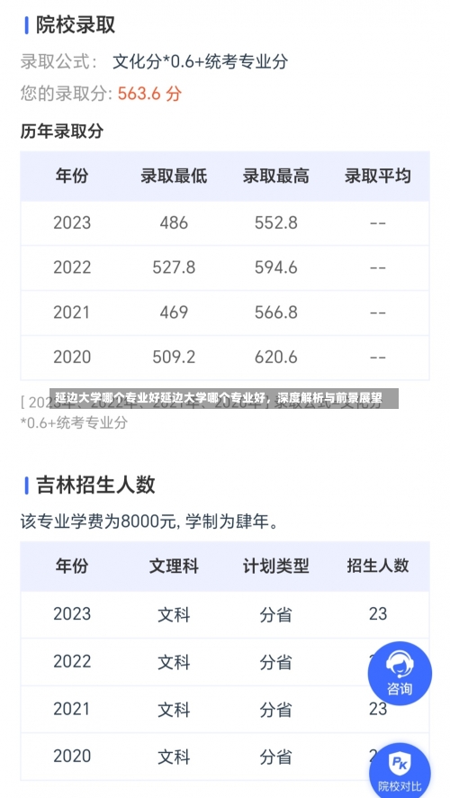 延边大学哪个专业好延边大学哪个专业好，深度解析与前景展望-第2张图片-记录生活每一天