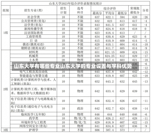 山东大学有哪些专业山东大学的专业设置与学科优势-第1张图片-记录生活每一天