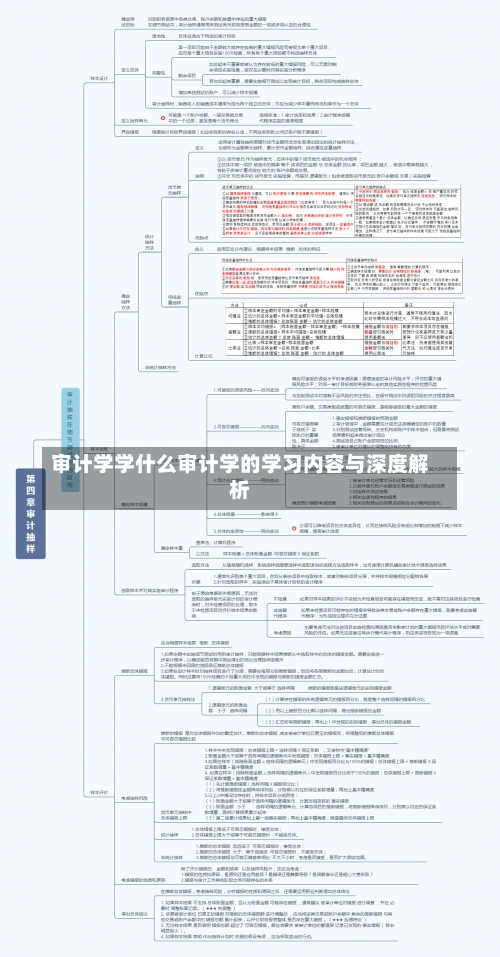 审计学学什么审计学的学习内容与深度解析-第3张图片-记录生活每一天