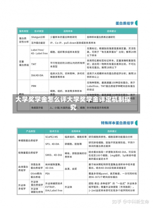 大学奖学金怎么评大学奖学金评定机制探究-第2张图片-记录生活每一天