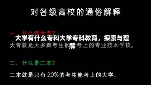 大学有什么专科大学专科教育，探索与理解-第2张图片-记录生活每一天