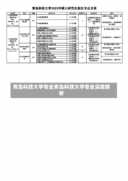 青岛科技大学专业青岛科技大学专业深度解析-第1张图片-记录生活每一天