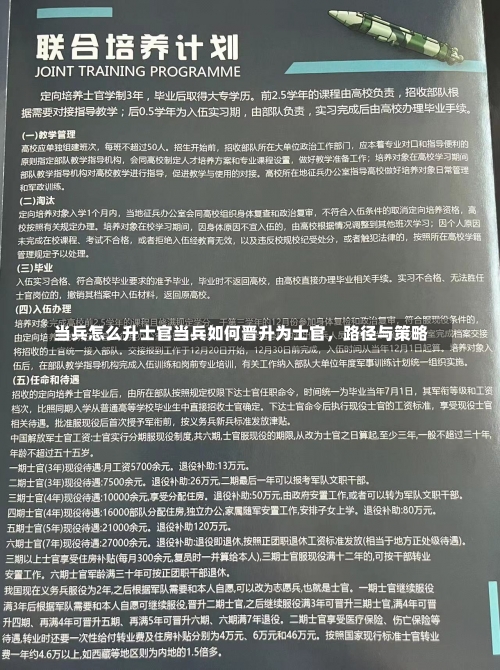 当兵怎么升士官当兵如何晋升为士官，路径与策略-第2张图片-记录生活每一天