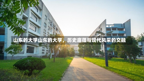 山东的大学山东的大学，历史底蕴与现代风采的交融-第1张图片-记录生活每一天