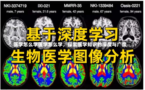 医学怎么学医学怎么学，探索医学知识的深度与广度-第2张图片-记录生活每一天