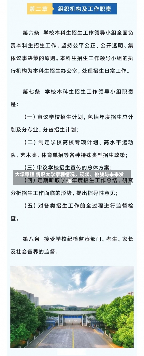 大学章程 情况大学章程情况，现状、挑战与未来发展-第2张图片-记录生活每一天