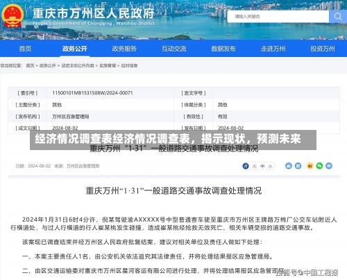 经济情况调查表经济情况调查表，揭示现状，预测未来-第1张图片-记录生活每一天