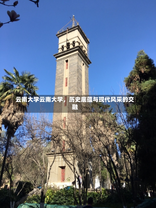 云南大学云南大学，历史底蕴与现代风采的交融-第1张图片-记录生活每一天