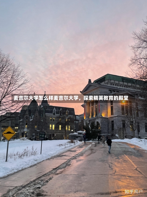 麦吉尔大学怎么样麦吉尔大学，探索精英教育的殿堂-第2张图片-记录生活每一天