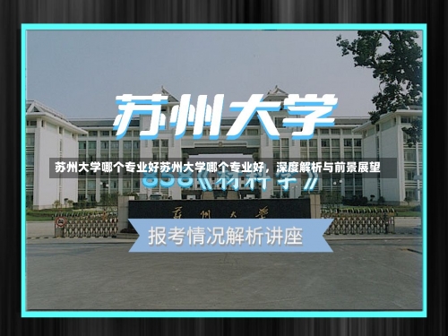 苏州大学哪个专业好苏州大学哪个专业好，深度解析与前景展望-第2张图片-记录生活每一天