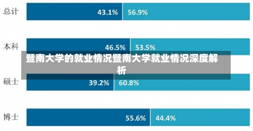 暨南大学的就业情况暨南大学就业情况深度解析-第1张图片-记录生活每一天