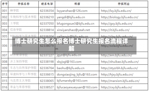 博士研究生怎么报名博士研究生报名流程详解-第1张图片-记录生活每一天