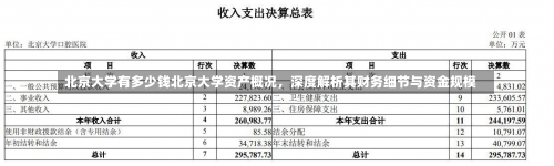 北京大学有多少钱北京大学资产概况，深度解析其财务细节与资金规模-第3张图片-记录生活每一天