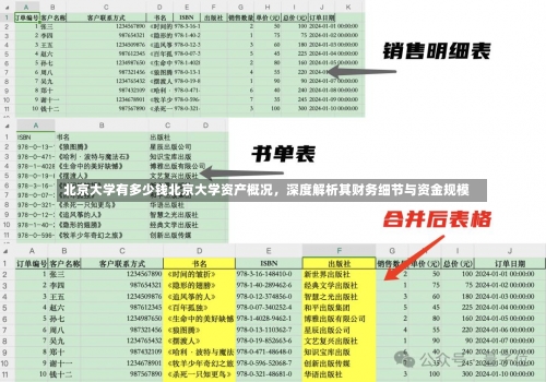 北京大学有多少钱北京大学资产概况，深度解析其财务细节与资金规模-第2张图片-记录生活每一天